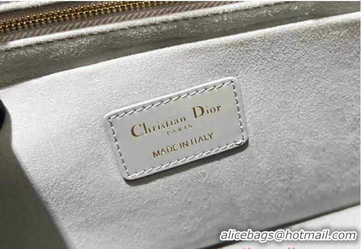 Buy Discount SMALL DIOR BOOK TOTE Calfskin M1295ZG Gray