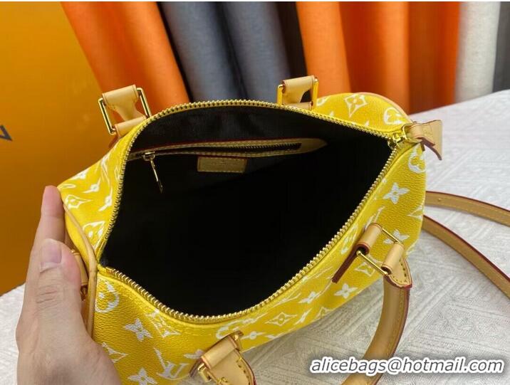 Grade Quality Louis Vuitton LV2024 Speedy 25 M24424 Yellow