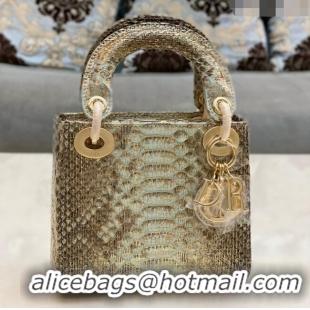 Buy Fashionable Dior Mini Lady Dior Bag in Python Leather CD2116 Gold/Grey 2023