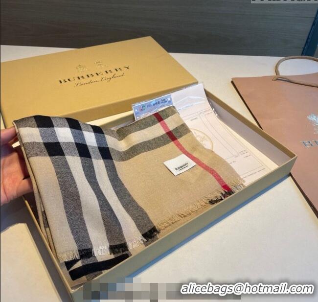 Grade Cheapest Burberry Limited Check Scarf 90x200cm B1221 Beige 2023