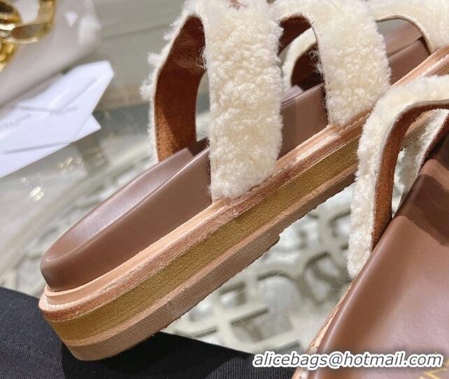 Lowest Price Celine Tippi Flat Slide Sandals in Shearling and Calfskin Brown 204084