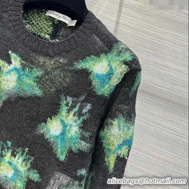 Shop Inexpensive Dior Mohair Sweater D112419 Green 2023