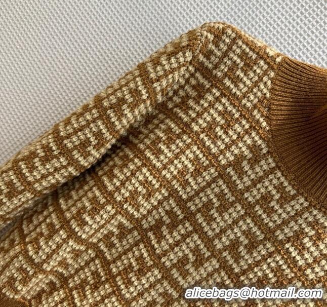 ​Well Crafted Fendi FF Sweater F122521 Brown 2023