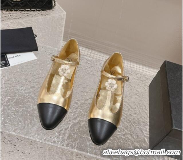 Popular Style Chanel Calfskin Ballet Flat with Bloom Charm Gold 201008