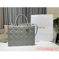 Famous Brand MEDIUM DIOR BOOK TOTE Calfskin M1296ZG Gray