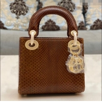 Trendy Design Dior Mini Lady Dior Bag in Python Leather CD2116 Brown 2023