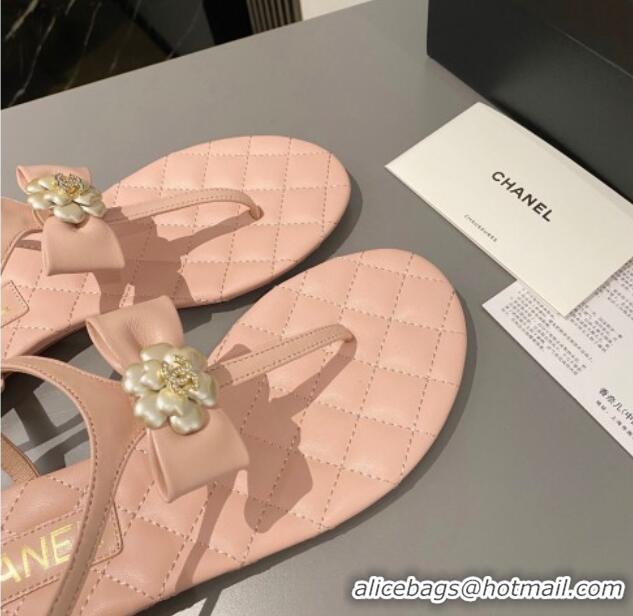 Good Looking Chanel Lambskin Flat Thong Sandals with Bloom Bow Light Pink 213049