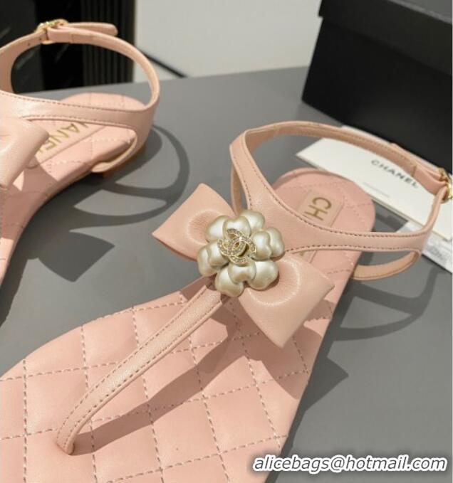 Good Looking Chanel Lambskin Flat Thong Sandals with Bloom Bow Light Pink 213049