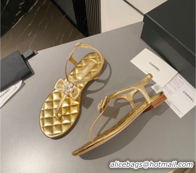 Top Design Chanel Lambskin Flat Thong Sandals with Bloom Bow Gold 1213052