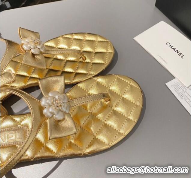 Top Design Chanel Lambskin Flat Thong Sandals with Bloom Bow Gold 1213052