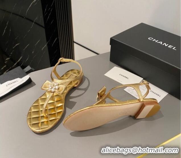 Top Design Chanel Lambskin Flat Thong Sandals with Bloom Bow Gold 1213052