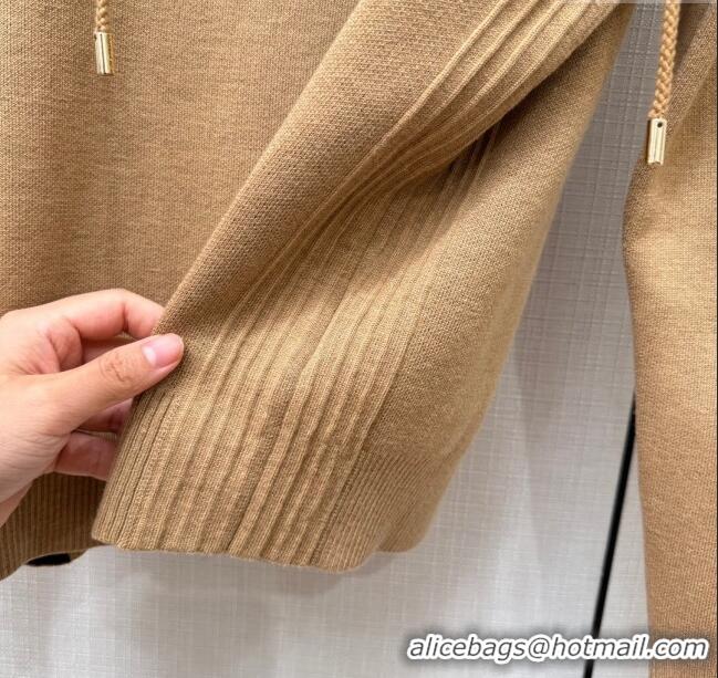 Low Cost Louis Vuitton Wool-Silk Cropped Hoodie and Pants LV110934 Dark Camel 2023