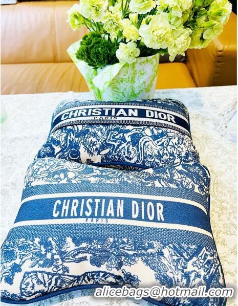 Grade Quality Dior Rectangular Pillow D0214 Blue 2023