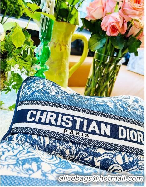 Grade Quality Dior Rectangular Pillow D0214 Blue 2023