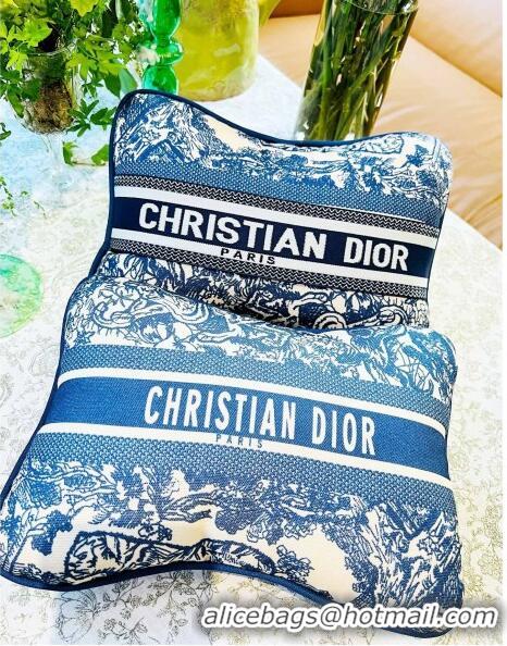 Grade Quality Dior Rectangular Pillow D0214 Blue 2023