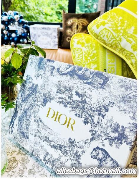 Good Product Dior Rectangular Pillow D0214 Yellow 2023