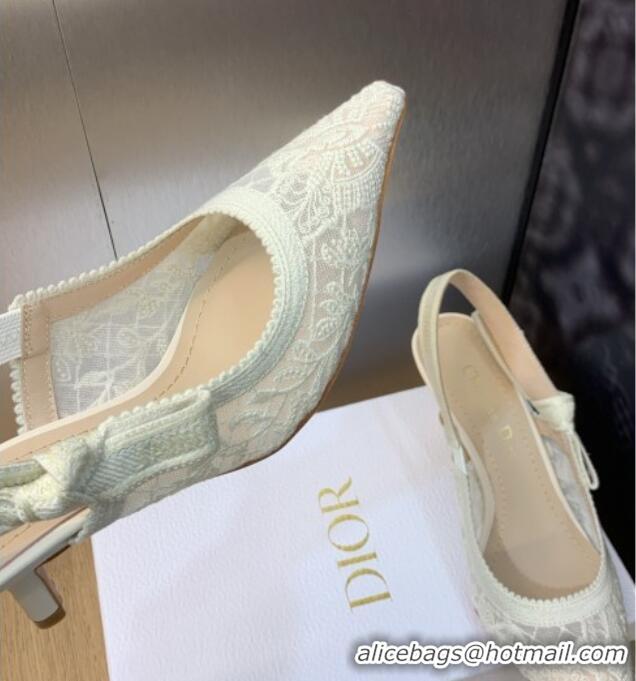 Grade Quality Dior J'Adior Slingback Pumps 6.5cm in Transparent Mesh Embroidered with White Butterfly Motif 202011