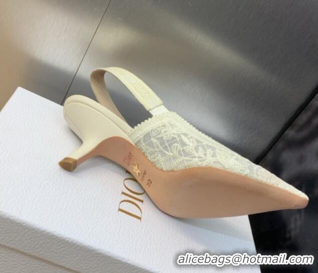 Grade Quality Dior J'Adior Slingback Pumps 6.5cm in Transparent Mesh Embroidered with White Butterfly Motif 202011