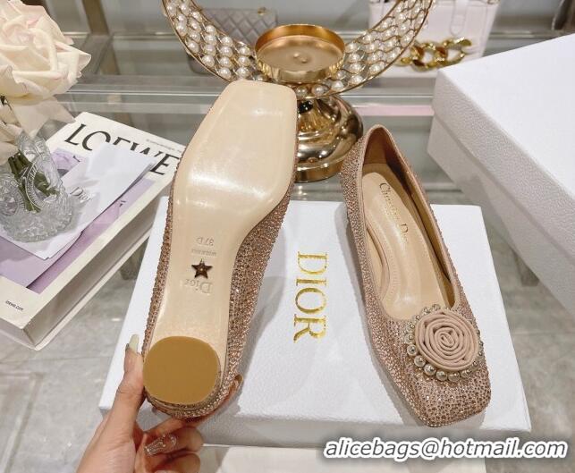 Most Popular Dior Rose Low Heel Pumps 3.5cm in Suede with Strass and Resin Pearls Apricot 2106052