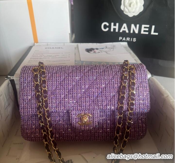 Well Crafted Chanel CLASSIC HANDBAG A01112 Purple