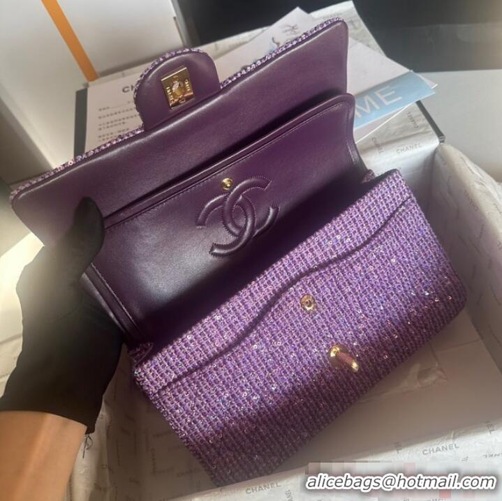 Well Crafted Chanel CLASSIC HANDBAG A01112 Purple