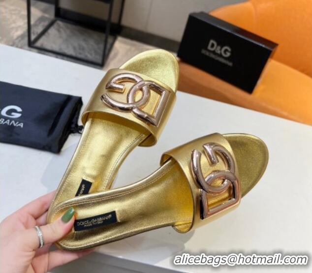 Purchase Dolce & Gabbana Leather Flat Slide Sandals with DG Logo Gold 215092