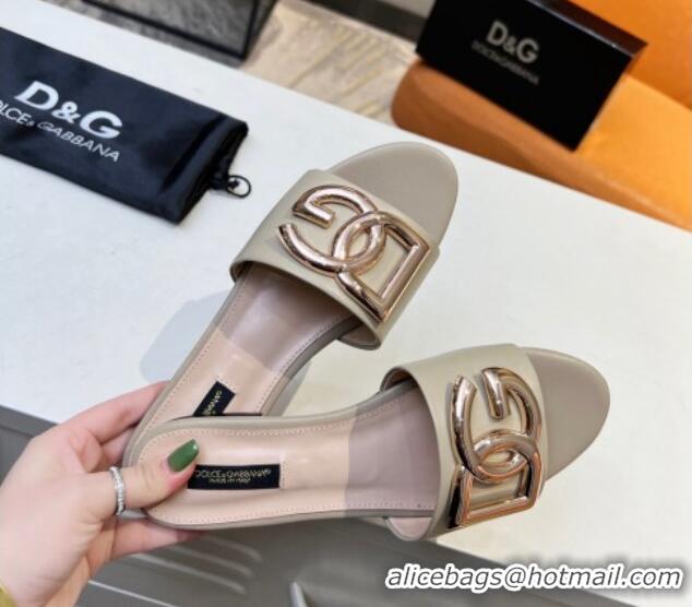 Best Grade Dolce & Gabbana Leather Flat Slide Sandals with DG Logo Beige 215094