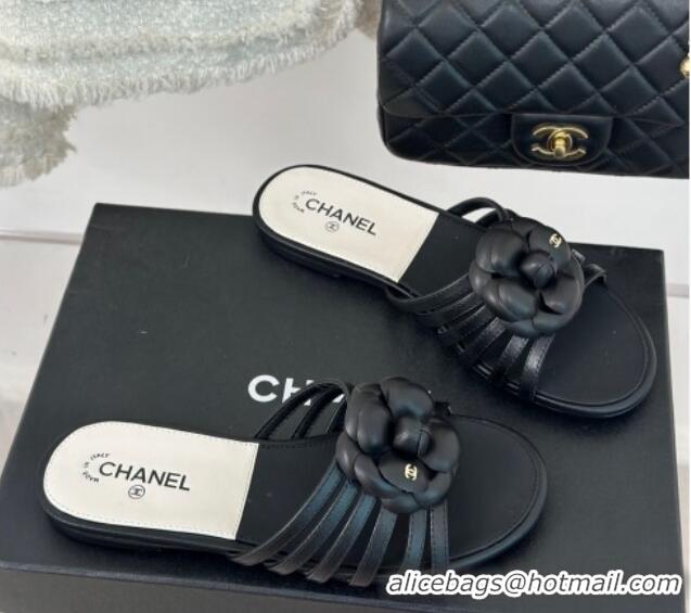 Best Product Chanel Lambskin Camellia Bloom Flat Slide Sandals Black 108012