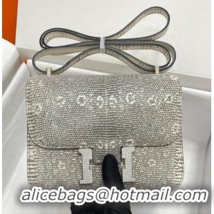 Famous Brand Hermes Original Lizard skin Constance Bag BK7828-2