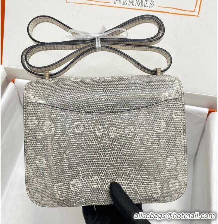 Famous Brand Hermes Original Lizard skin Constance Bag BK7828-2