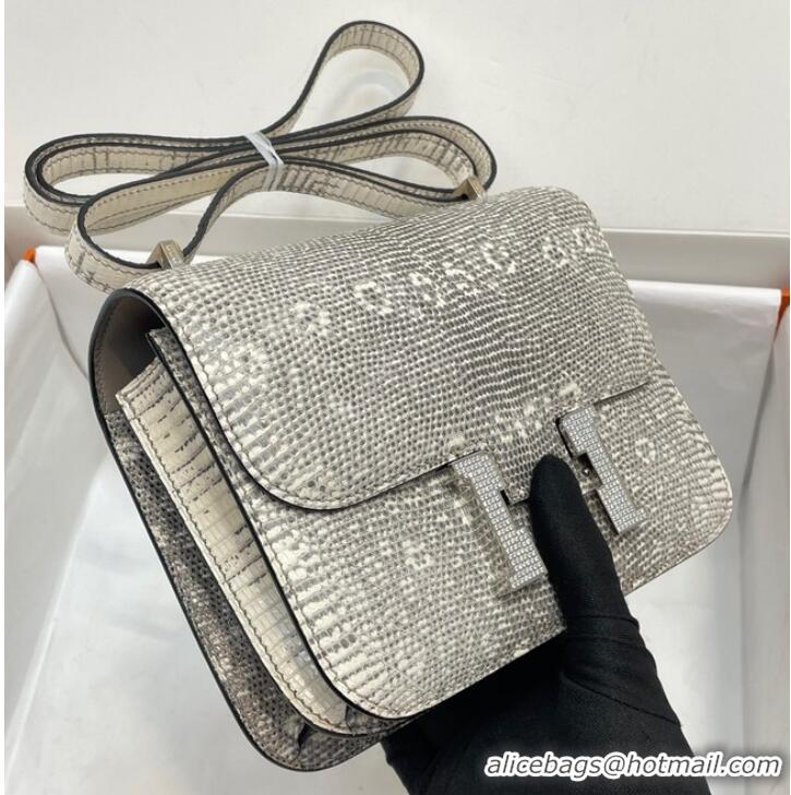 Famous Brand Hermes Original Lizard skin Constance Bag BK7828-2