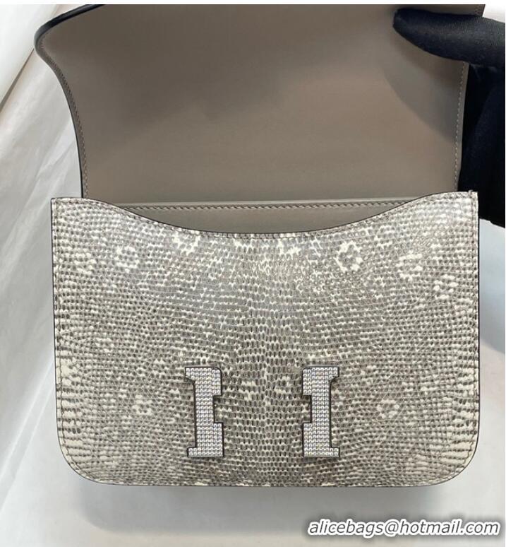 Famous Brand Hermes Original Lizard skin Constance Bag BK7828-2