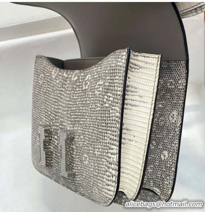 Famous Brand Hermes Original Lizard skin Constance Bag BK7828-2