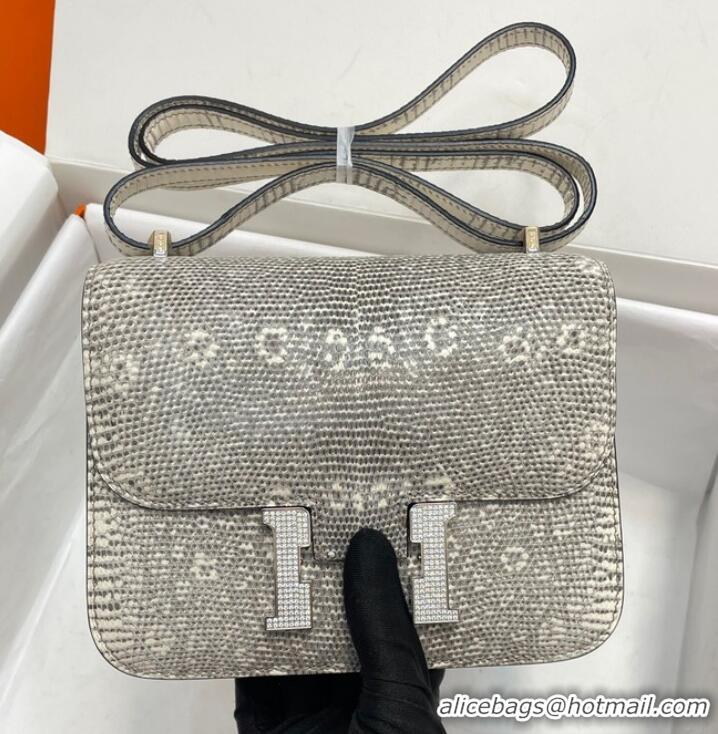 Famous Brand Hermes Original Lizard skin Constance Bag BK7828-2