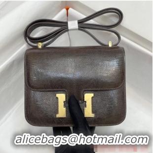 Unique Grade Hermes Original Lizard skin Constance Bag BK7828-3