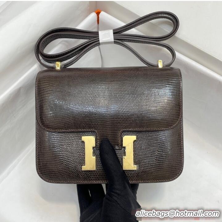 Unique Grade Hermes Original Lizard skin Constance Bag BK7828-3