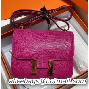 Most Popular Hermes Original Lizard skin Constance Bag BK7828-5