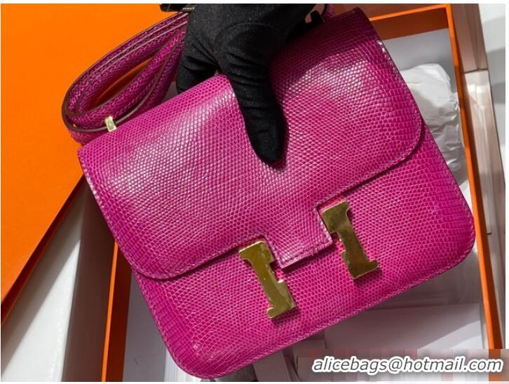 Most Popular Hermes Original Lizard skin Constance Bag BK7828-5