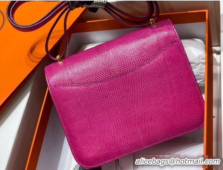 Most Popular Hermes Original Lizard skin Constance Bag BK7828-5