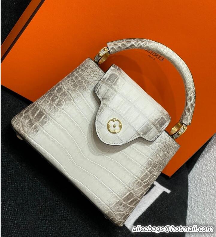 Good Product Louis Vuitton Capucines MM N93419 gray&white