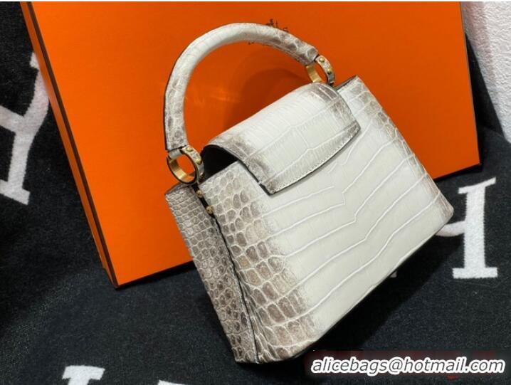 Good Product Louis Vuitton Capucines MM N93419 gray&white