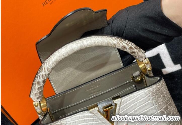 Good Product Louis Vuitton Capucines MM N93419 gray&white