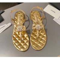 Top Design Chanel Lambskin Flat Thong Sandals with Bloom Bow Gold 1213052