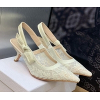 Grade Quality Dior J'Adior Slingback Pumps 6.5cm in Transparent Mesh Embroidered with White Butterfly Motif 202011