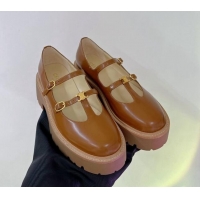 Unique Style Celine Double Strap Mary Jane Loafers 5cm in Calfskin Brown 0103122