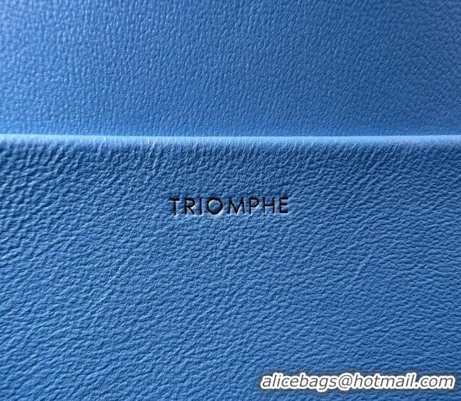 Buy Discount Celine Medium Teen Cuir Triomphe Bag in Shiny Calfskin 187366 Sky Blue/Gold