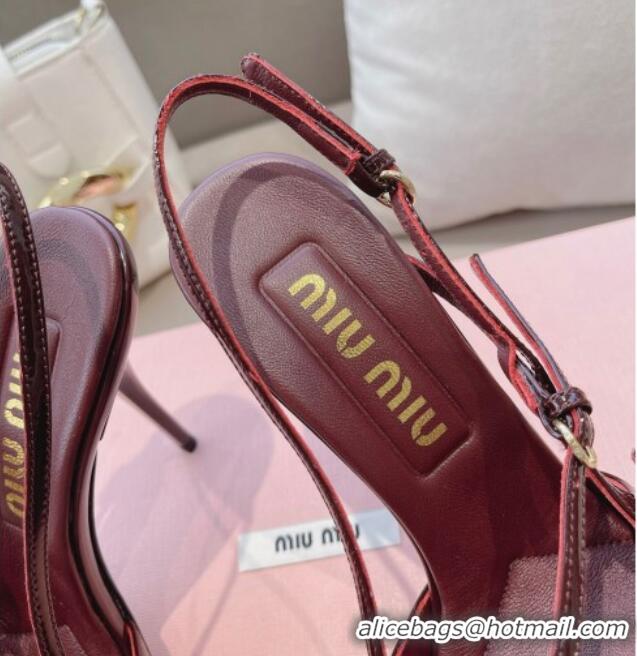 Purchase Miu Miu Patent leather slingbacks Pumps 10.5cm with buckles Dark Burgundy 129062