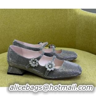 Good Quality Roger Vivier Bouquet Strass Babies Ballerinas 2.5cm with Crystals Allover Grey 228085