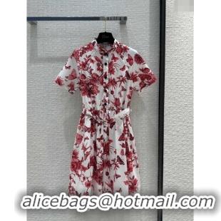 Buy Cheap Dior Dress D022318 Red 2024