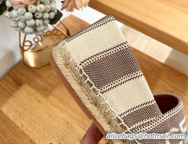 Luxurious Celine Triomphe Cotton Canvas Espadrilles White/Brown 124122